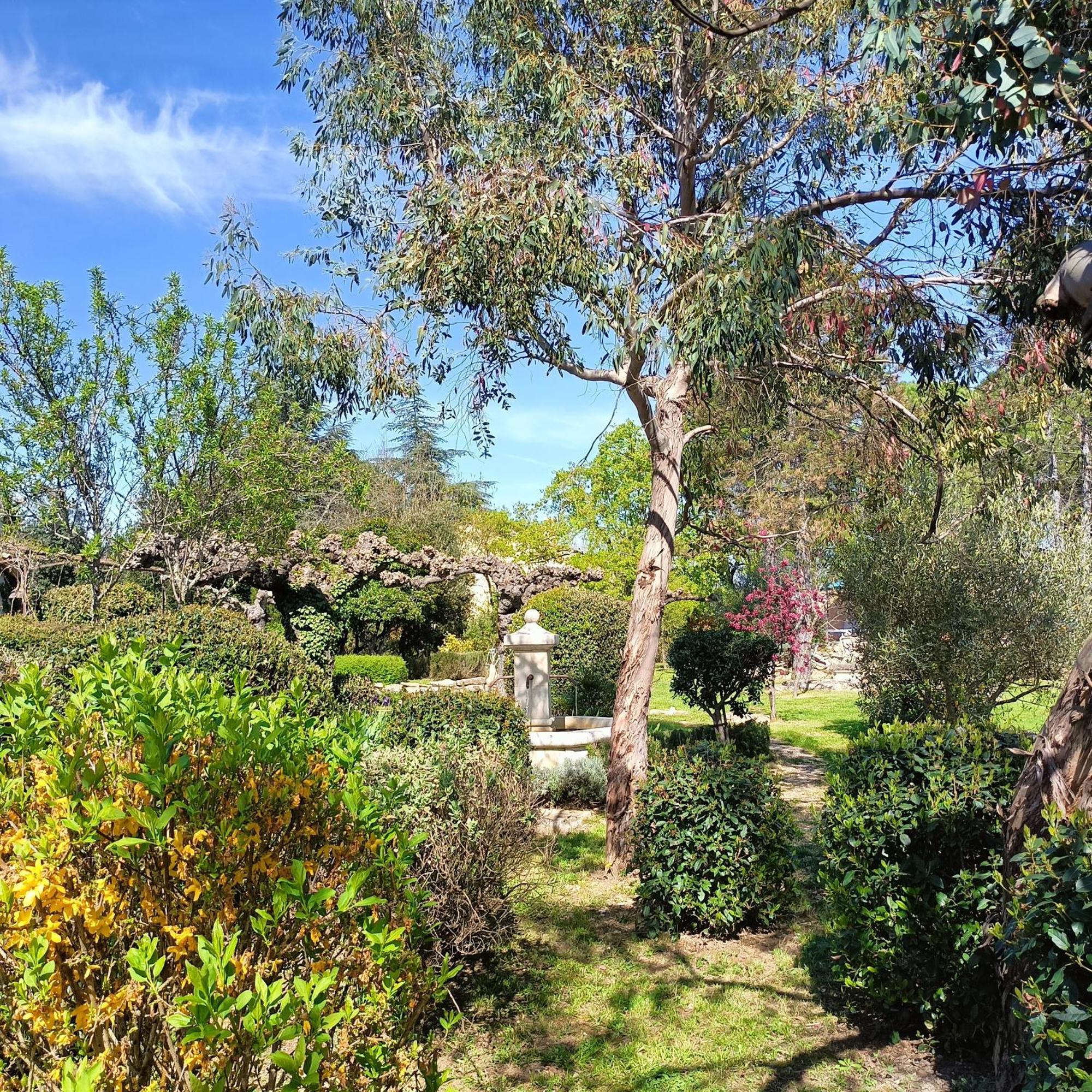 L'Arbre Du Magnan Villa Chandolas Exterior foto